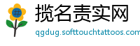 揽名责实网